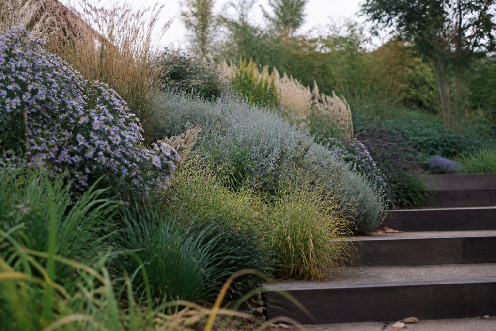 Massif de plantes en escalier avec graminees
