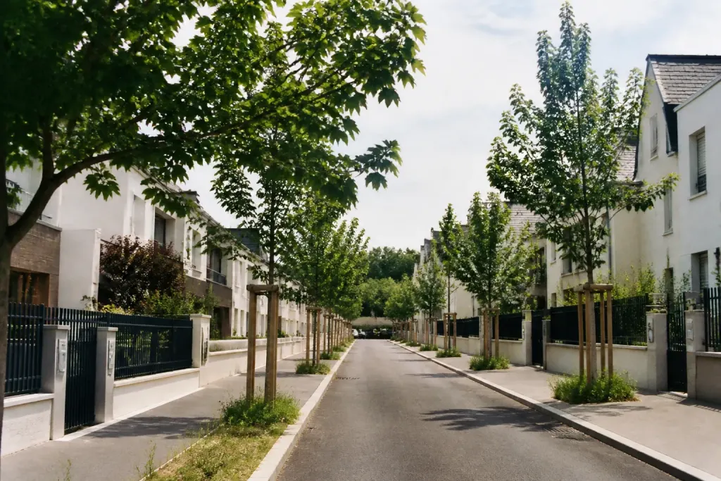 Rue calme bordee de maisons et de jeunes arbres